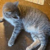 Thumbnail photo of PAT #1