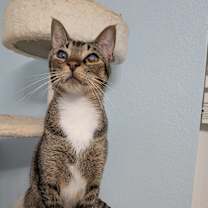 Thumbnail photo of Blinkin #2