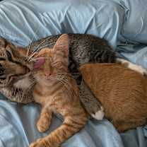 Thumbnail photo of Blinkin #3