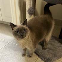 Thumbnail photo of Moon #1