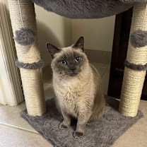 Thumbnail photo of Moon #2