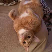 Thumbnail photo of Miller #2