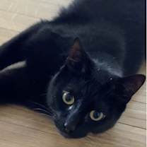 Thumbnail photo of Benji #2