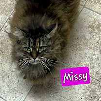 Thumbnail photo of Missy #2