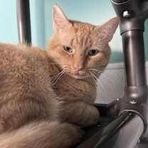 Thumbnail photo of Evan #2