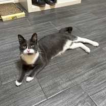 Thumbnail photo of Mojo #1
