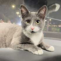Thumbnail photo of Mojo #2