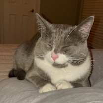 Thumbnail photo of Mojo #3