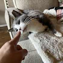 Thumbnail photo of Vinny #2
