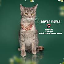 Thumbnail photo of RAVEN REYES #1