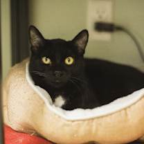 Thumbnail photo of Quinton #4