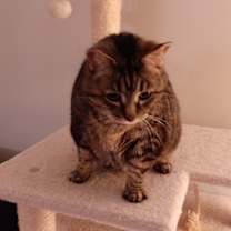 Thumbnail photo of Mildred #2