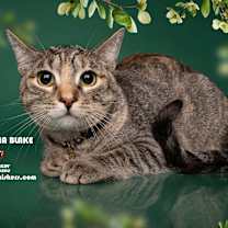 Thumbnail photo of OCTAVIA BLAKE #1