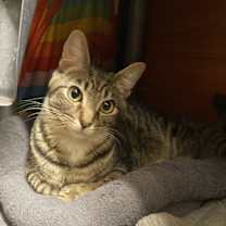 Thumbnail photo of OCTAVIA BLAKE #4