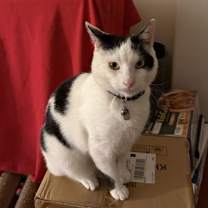 Thumbnail photo of Sunny #2