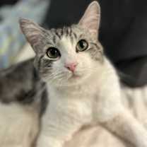 Thumbnail photo of Ozzy #1