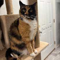 Thumbnail photo of Charlotte #1