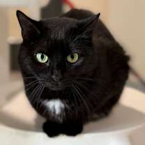 Thumbnail photo of Minnie #4