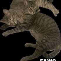 Thumbnail photo of Mochi #3