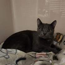 Thumbnail photo of Jackie #3