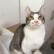 Thumbnail photo of Richie #1