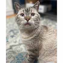 Thumbnail photo of Condor Church #4