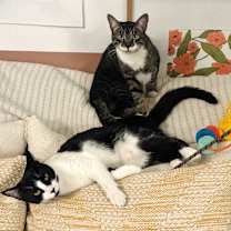 Thumbnail photo of Bartholomew #2