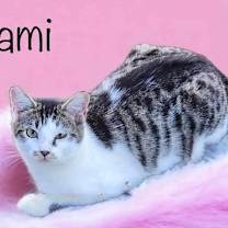 Thumbnail photo of Nami #1