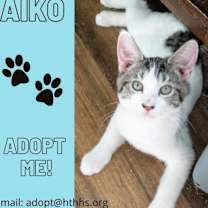 Thumbnail photo of Aiko #1