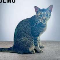 Thumbnail photo of Demo #2