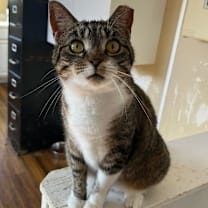 Thumbnail photo of Coraline #3