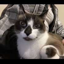 Thumbnail photo of Forrest #1