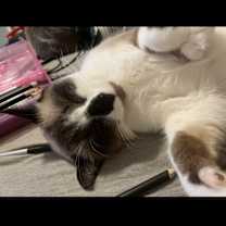 Thumbnail photo of Forrest #2