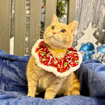 Thumbnail photo of Trudy #1