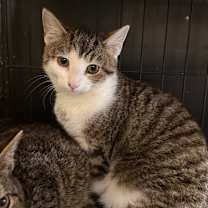 Thumbnail photo of Maegan #2