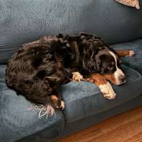 Thumbnail photo of Betty #4