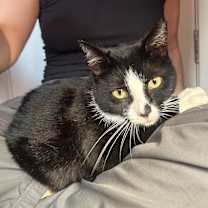 Thumbnail photo of Peggy #1