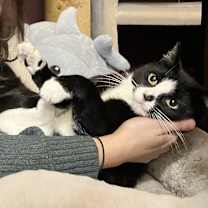 Thumbnail photo of Peggy #2