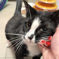 Thumbnail photo of Peggy #3