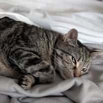 Thumbnail photo of Brielle #2