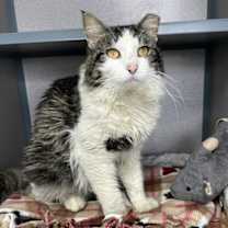 Thumbnail photo of Xander #3