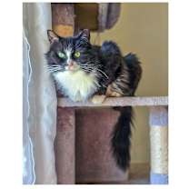 Thumbnail photo of Clara #2