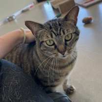 Thumbnail photo of Lucille #1