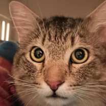 Thumbnail photo of Mike #1