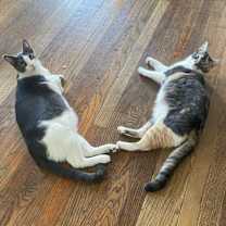 Thumbnail photo of Autumn #2