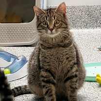 Thumbnail photo of Jelly #2