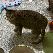 Thumbnail photo of Jelly #4