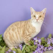 Thumbnail photo of Willie #3