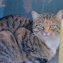 Thumbnail photo of Ursula #2