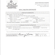 Thumbnail photo of Duchess #2